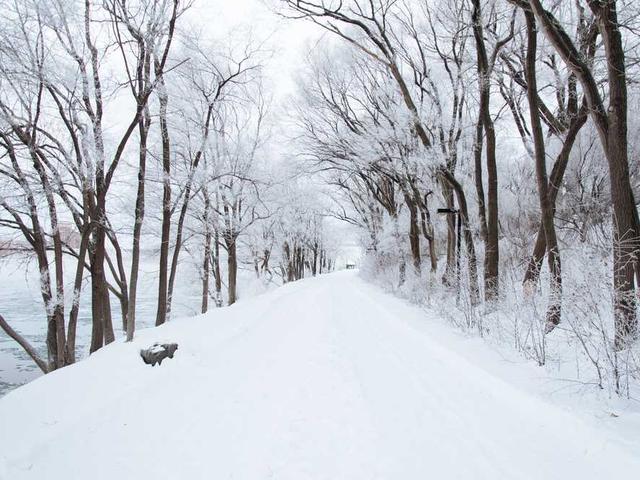 Penertiban Parkir Liar