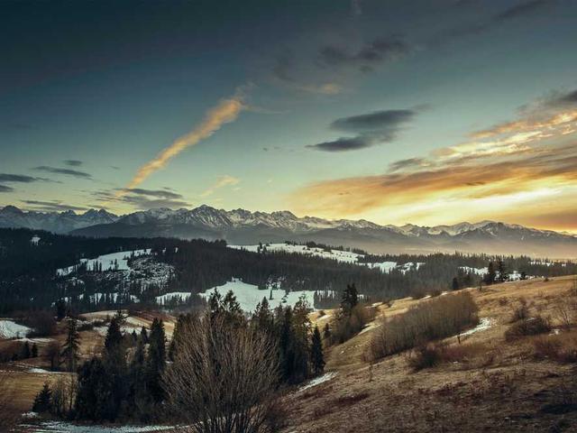 Pengamanan Konser Musik
