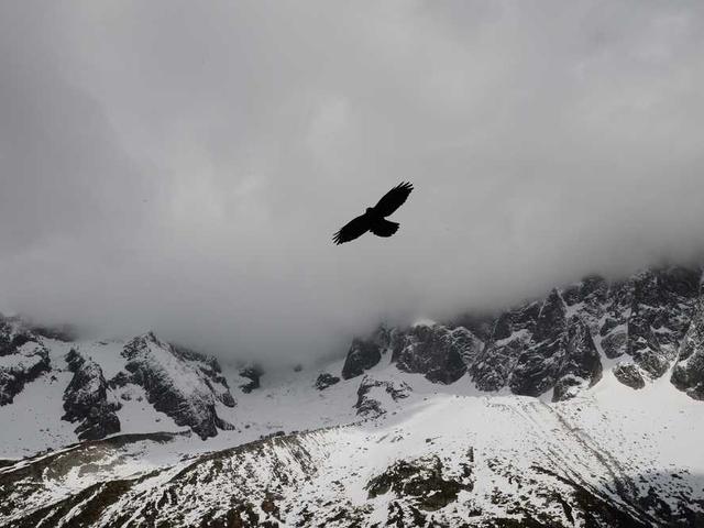 Pengamanan Demo Damai